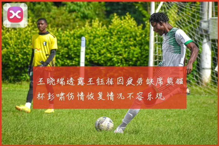 王晓瑞透露王钰栋因疲劳缺席熊猫杯彭啸伤情恢复情况不容乐观