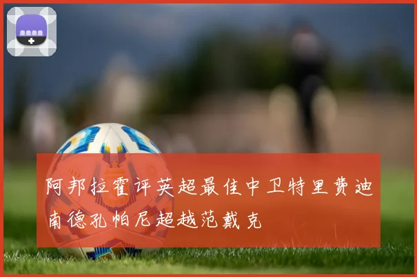 阿邦拉霍评英超最佳中卫特里费迪南德孔帕尼超越范戴克
